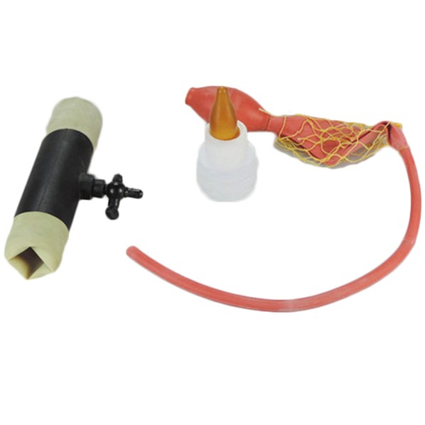 ANIMAL SEMEN COLLECTION ANIMAL SEMEN COLLECTION