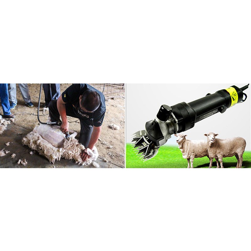 ELECTRIC SHEEP SHEARING CLIPPERS ELECTRIC SHEEP SHEARING CLIPPERS