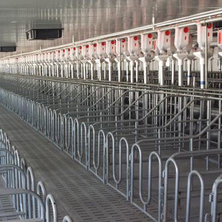 AUTOMATIC PIG FEEDING SYSTEMS
