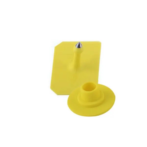 Large square ear tags, male Large square ear tags, male